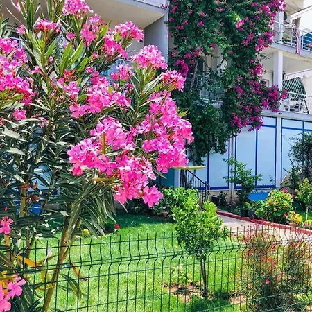 Central House With Stunning Terrace 3 Br *