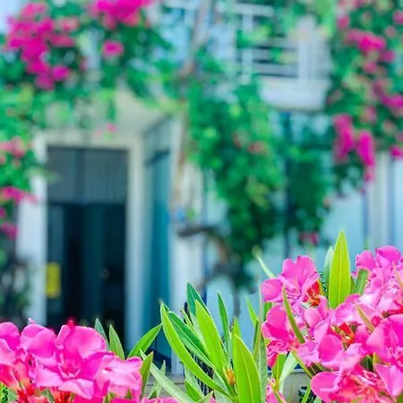 Central House With Stunning Terrace 3 Br Fethiye
